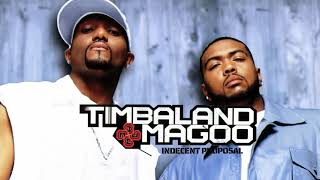 Timbaland & Magoo - Intro feat. DJ S&S (Visualizer)