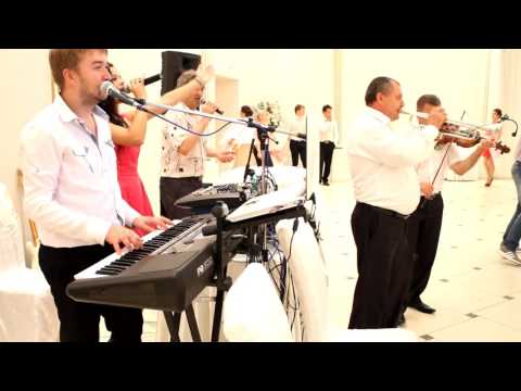 Formatia TRIO+ La Morisca Cea De Jos