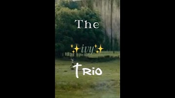 the ✨ivy trio✨ #mazerunner #ivytrio #newt #minho #thomas #shorts