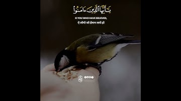 Surah Al-Ahzab سورة الأحزاب | Verse 56