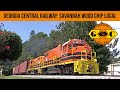 Georgia Central Railway's Wood Chip Local