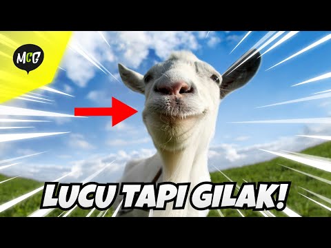 Video: Apa itu dude di atas gajah?