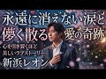 ✨🌙 永遠に消えない涙と儚く散る愛の奇跡 &mdash; 新浜レオン が紡ぐ心を引き裂くほど美しく切ないラブストーリー 💔🎶🌸