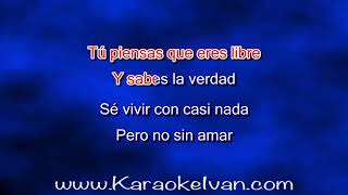 Mijares, Paul Anka - Face in the mirror KARAOKE