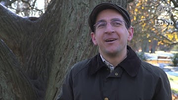 Model used to evaluate lockdowns was flawed