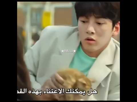 مساعدته لل قطه اخذت قلبي انوار118 Blackpink Kdrama مسلسل متجر سيت بيول 