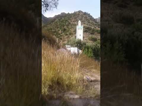 خطيرعون سلطة نواحي تاونات يستعمل مئذنة مسجد الدوار من أجل دعوة الساكنة لحضور حفل زفاف وفي عز كورونا