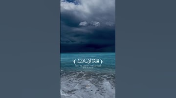 ( فدعا ربه أني مغلوب فانتصر ) القارئ " إسلام صبحي" صوت تقشعر له الأبدان 🤍😴
