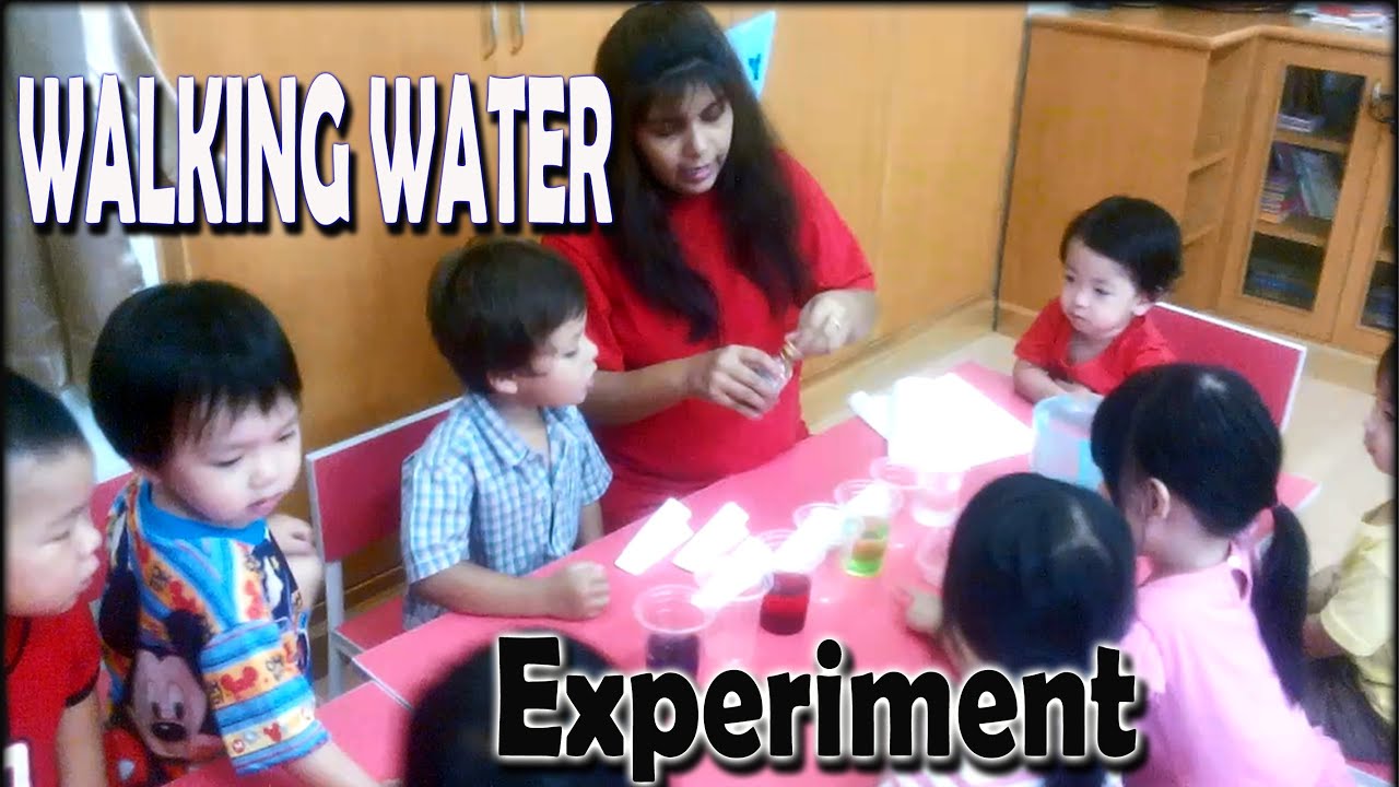 Walking Water Science Experiment Walking Water Experiment Preschool Walking water science experiment walking water experiment preschool