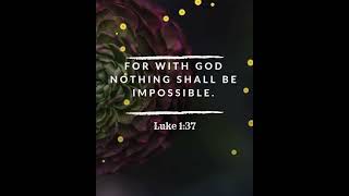 Impossible Vanuatu Troopz Religious Song