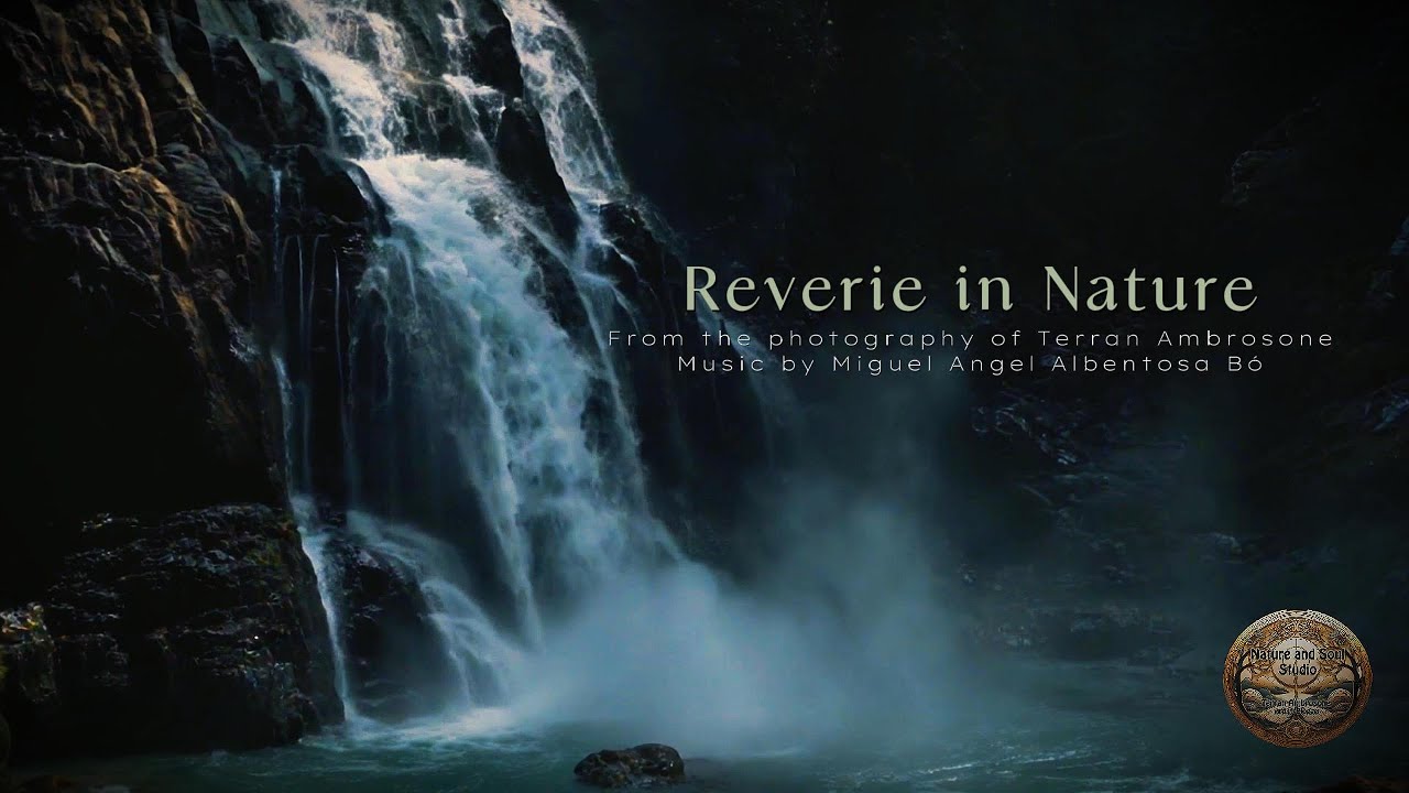Reverie In Nature