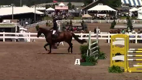 Video of ALICE IN WONDERLAND ridden by LISA SPANO ...