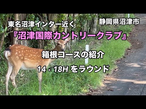 【箱根コース】コース紹介『沼津国際カントリークラブ』14〜18Hでラウンド