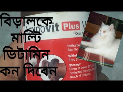 ভিডিও: উচ্চ প্রবাহ বিড়াল কর্মক্ষমতা বৃদ্ধি করে?