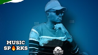Salone Oldies Mix, Throwback by Dj Fred Max  | Sierra Leone Music 2000s ?? | Volume 9 | Music Sparks