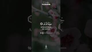 قُلنا لا تخف إنك انت الأعلى ||#تلاوة_خاشعة #شريف_مصطفى 🦋💛