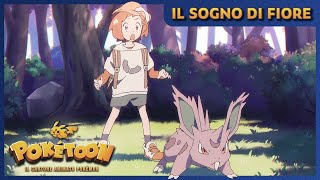 Il sogno di Fiore 🌸 | POKÉTOON