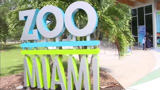 4 Zoo Miami workers test positive for COVID-19; officials say their standards are stringent