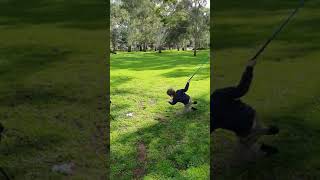 Boy falls over after swinging and hitting a golf ball