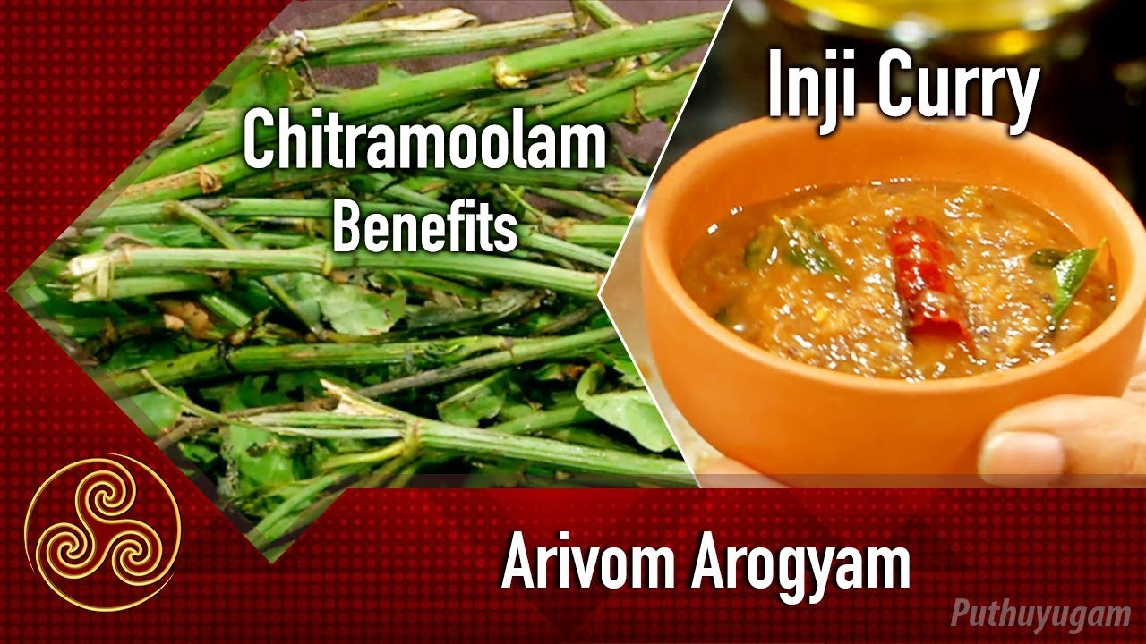 சித்திர மூலம் பயன்கள் | Inji Curry Recipe | Arivom Arogyam | 21/05/2018