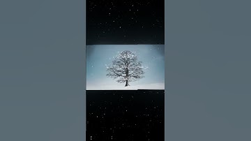 سورة غافر|39-40|القارئ:#محمد_اللحيدان #قران #quran #راحة_نفسية #قران_كريم #تلاوة_هادئة ##تلاوة_خاشعة