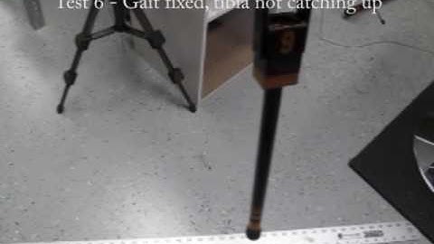 Hexapod Gait Generation with IK tests