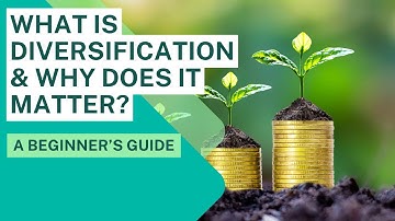 What Is Diversification? How Smart Investors Reduce Risk & Grow Wealth