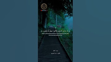 ﴿ وَقَالُوا أَتَّخَذَ اللَّهُ وَلَدًا ﴾تلاوه هادئة تريح القلب ❤️‍🩹  #quran #قرآن #المصحف
