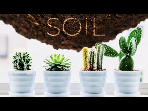 Soil