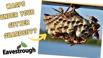 Leaf Guard Gutter Helmet Fail!