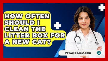 How Often Should I Clean The Litter Box For A New Cat? - PetGuide360.com