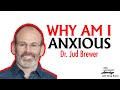 Dr. Jud Brewer - The Real Reasons You Are Always Anxious (And What to Do About It)