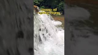 Water can be a source of power generation⚡️ #explore #river #nature #shortsvideo #valley #shorts