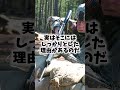 Q:戦場ではなぜ砂袋が弾除けとして使われるの?