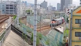 キハ261系 5000番台 はまなす色 甲種輸送 DE10-1561 牽引 新長田駅