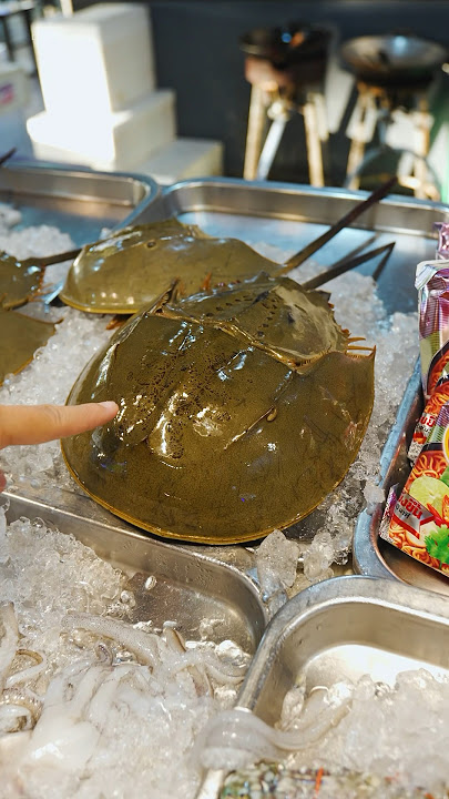 Amazing Grilled Horseshoe Crab - Thailand Street Food