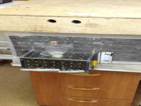 IMG 0507 IMG 0507
