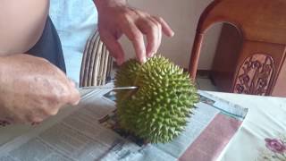 How to Open Durian using Kitchen Knife | Can you guess what are the Durian Type
