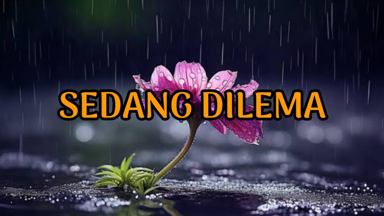 🎆 SEDANG DILEMA 🎆
