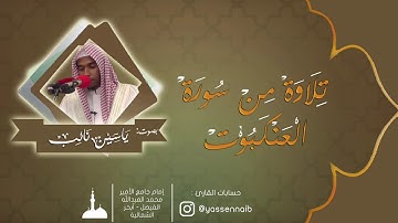 تلاوة من سورتي  يونس و العنكبوت بصوت القارئ : ياسين نائب