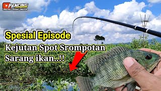 Indonesia Fishing || SPOT MANCING EKSTRIM Bikin Ketagihan❗Danau Rawa Pening