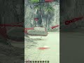 Phönix: THEY DIDN'T UNDERSTAND WHY?! - World of Tanks (WoT)
