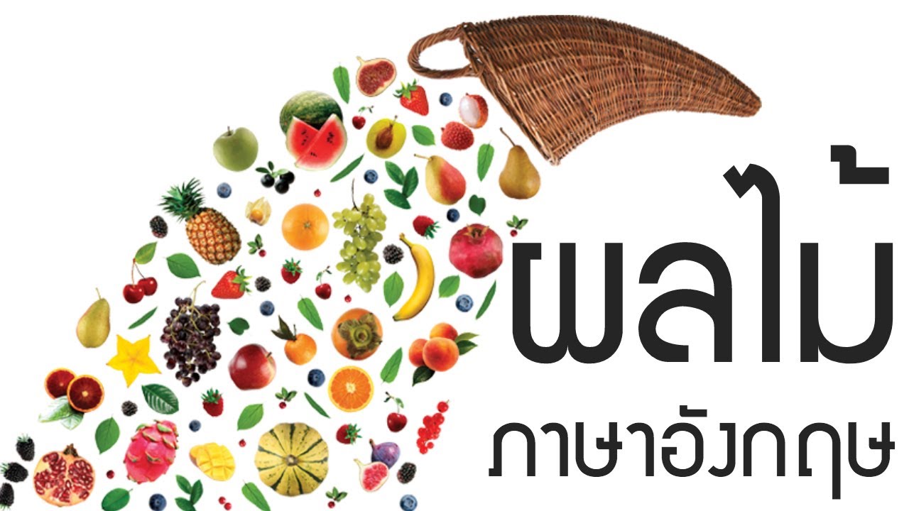 ไม้ มะค่า ภาษา อังกฤษ  2022  🍌 ศัพท์อังกฤษผลไม้ไทยและต่างประเทศ ขนุน เงาะ ลำไย ....