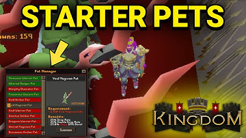 How To Start & Get Pets Fast On This *NEW RSPS* Just Released! Kingdom RSPS
