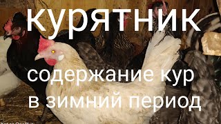 Курятник. Содержание кур в зимний период.