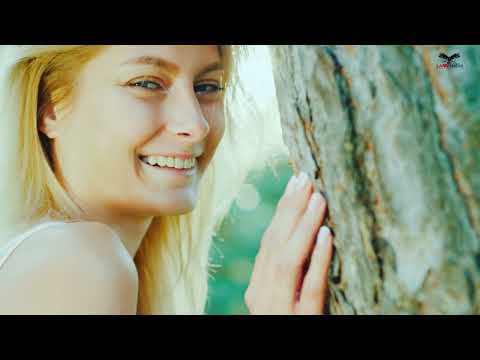 Video abspielen