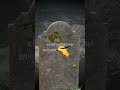 Arthur Morgan S Grave At High And Low Honor In Red Dead Redemption 2 Shorts Rdr2