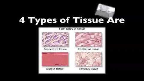 Cycle 3 Week 1 Science