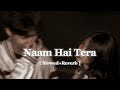 Naam Hai Tera Tera [ Slowed+Reverb ] Lofi Mix || Indian Lofi Official