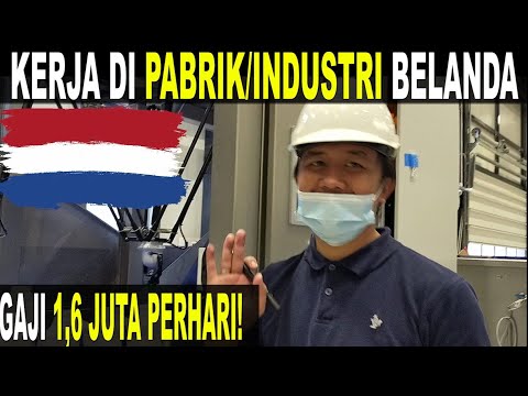CARA DAPAT KERJA DI PABRIK BELANDA (HOW TO GET A JOB IN THE NETHERLAND) #CERITA TKI SUKSES